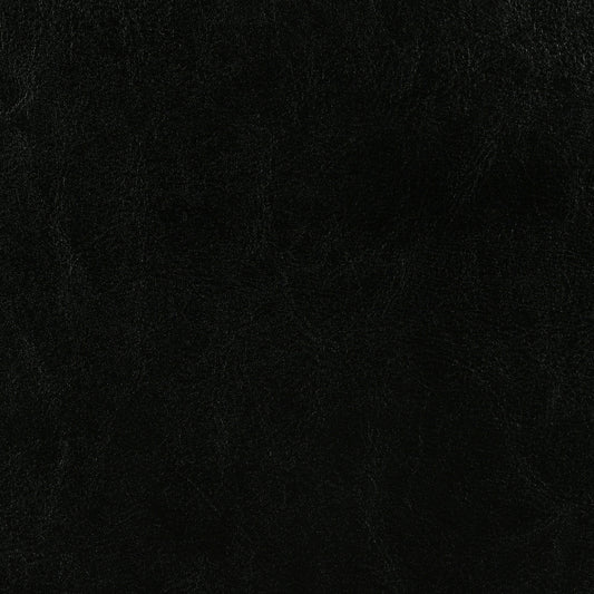 Dorian Upholstered Full Panel Bed Black